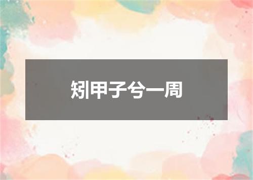 矧甲子兮一周