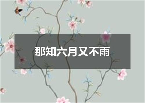 那知六月又不雨