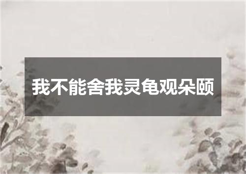 我不能舍我灵龟观朵颐