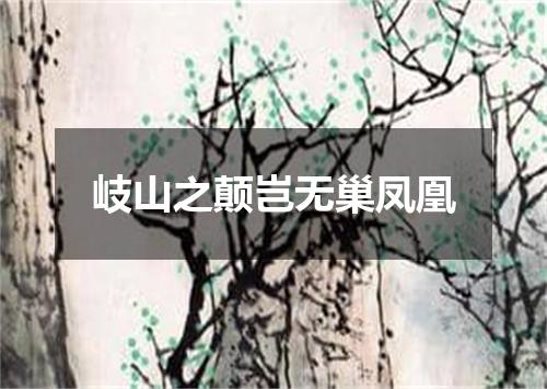 岐山之颠岂无巢凤凰