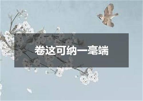 卷这可纳一毫端
