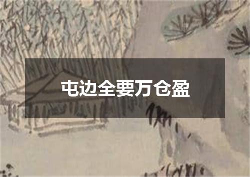屯边全要万仓盈