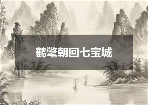 鹤氅朝回七宝城