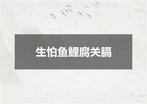 生怕鱼鲤腐关膈
