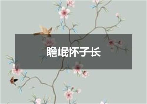 瞻岷怀子长