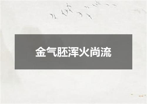金气胚浑火尚流