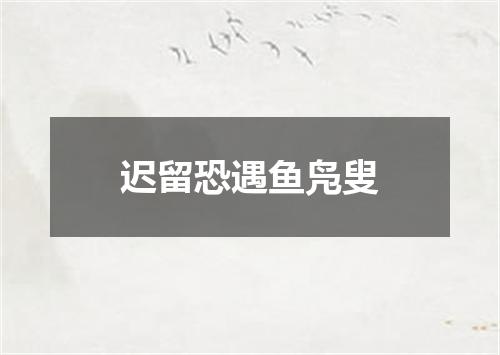 迟留恐遇鱼凫叟