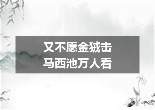 又不愿金狨击马西池万人看