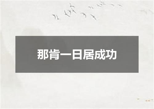 那肯一日居成功