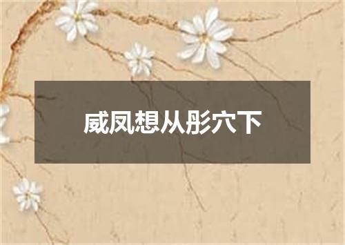 威凤想从彤穴下
