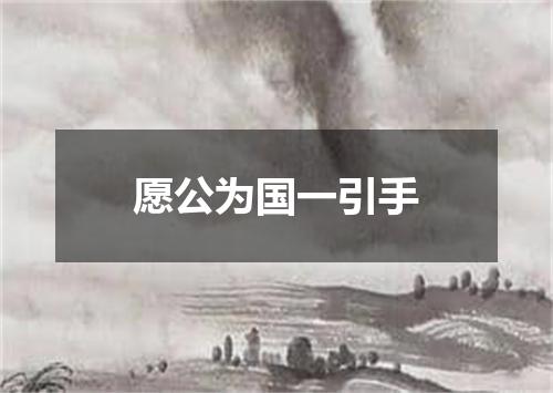 愿公为国一引手
