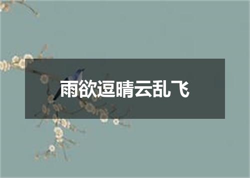 雨欲逗晴云乱飞
