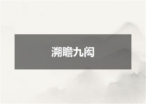 溯瞻九闳