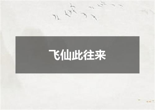 飞仙此往来