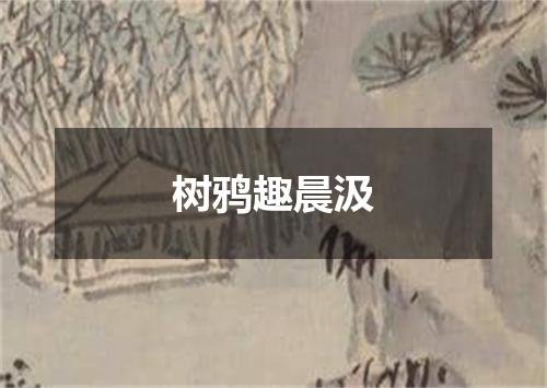 树鸦趣晨汲