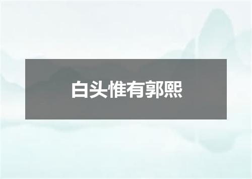 白头惟有郭熙