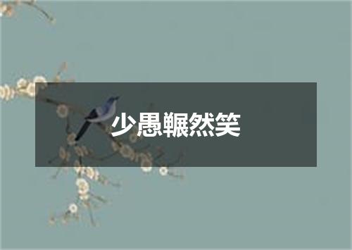 少愚冁然笑