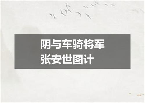 阴与车骑将军张安世图计