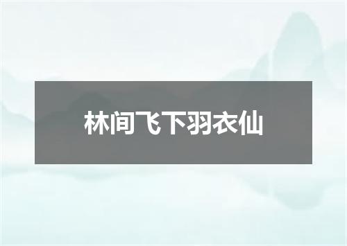 林间飞下羽衣仙