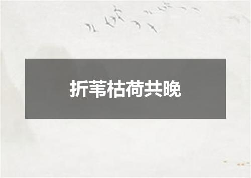 折苇枯荷共晚
