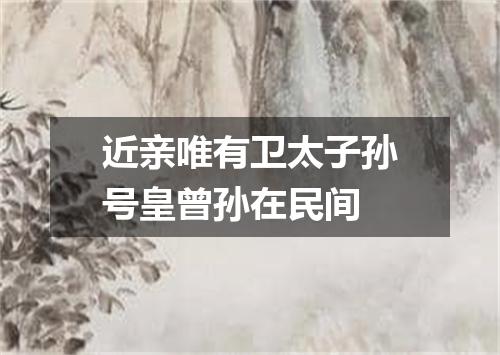 近亲唯有卫太子孙号皇曾孙在民间