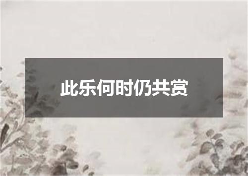 此乐何时仍共赏