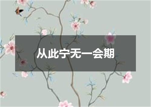 从此宁无一会期