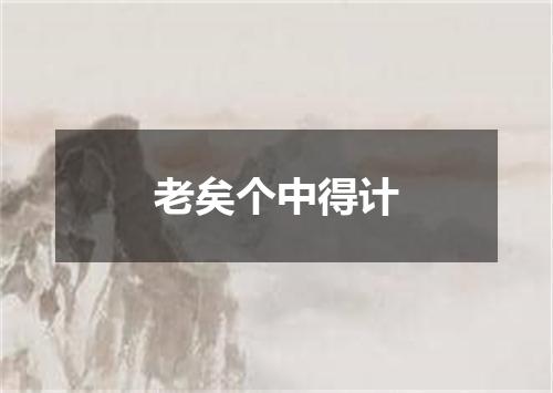 老矣个中得计