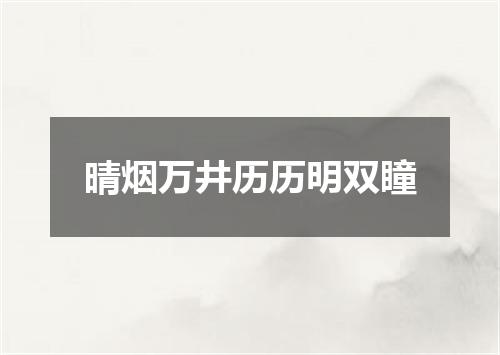 晴烟万井历历明双瞳