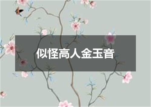 似怪高人金玉音