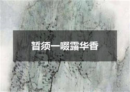 暂须一啜露华香