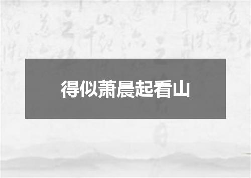 得似萧晨起看山