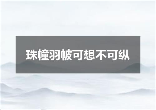 珠幢羽帔可想不可纵