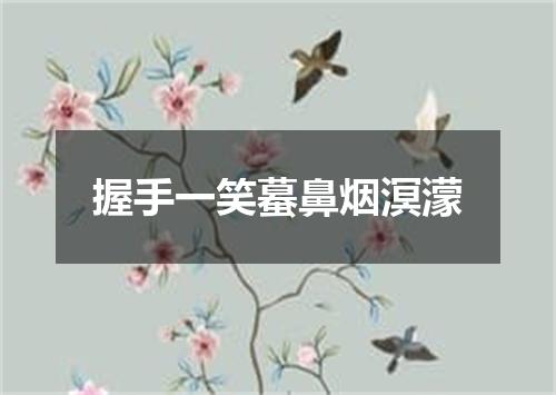 握手一笑蟇鼻烟溟濛