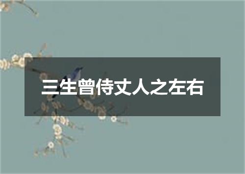 三生曾侍丈人之左右