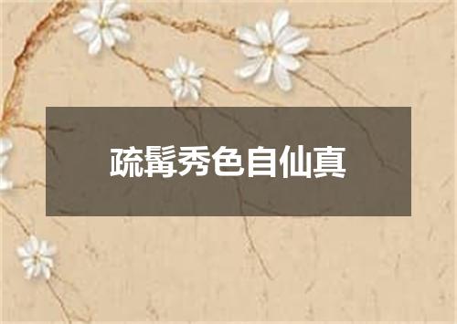 疏髯秀色自仙真