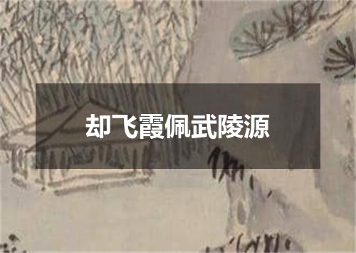 却飞霞佩武陵源