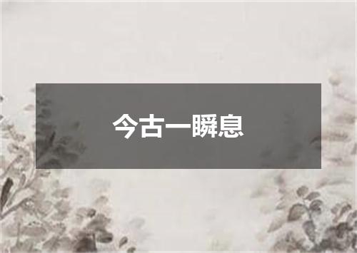 今古一瞬息