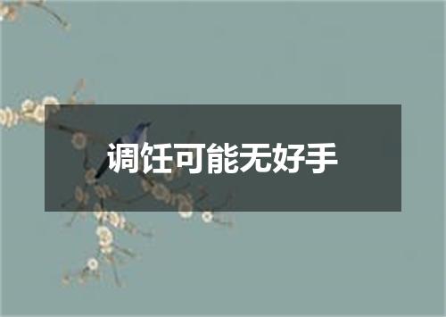 调饪可能无好手