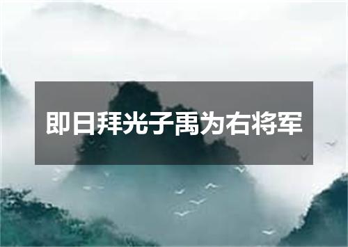 即日拜光子禹为右将军