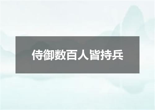 侍御数百人皆持兵