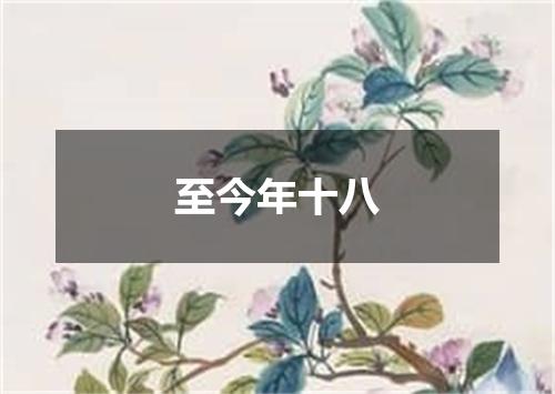 至今年十八