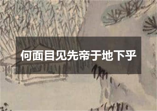 何面目见先帝于地下乎