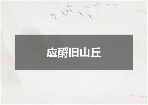 应酹旧山丘