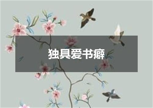 独具爱书癖