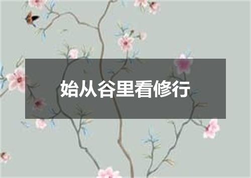 始从谷里看修行