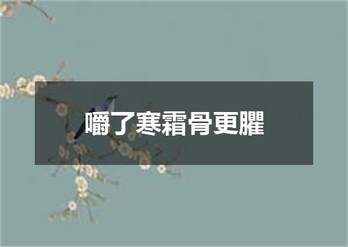 嚼了寒霜骨更臞