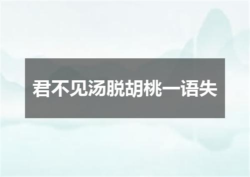 君不见汤脱胡桃一语失