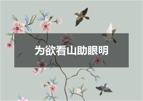 为欲看山助眼明