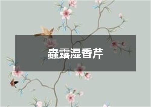 蟲露湿香芹